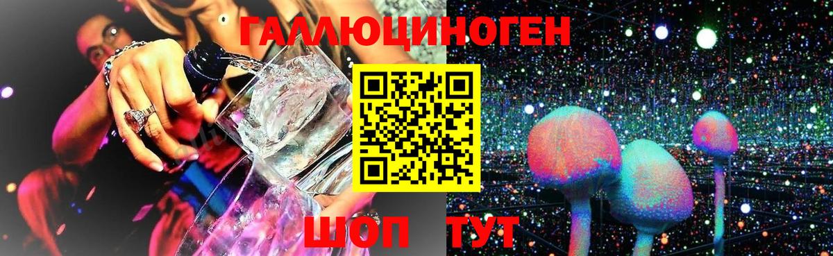 купить наркотики сайты  Галлюциногенные грибы мухоморы  Вход с VPN  Долгопрудный 