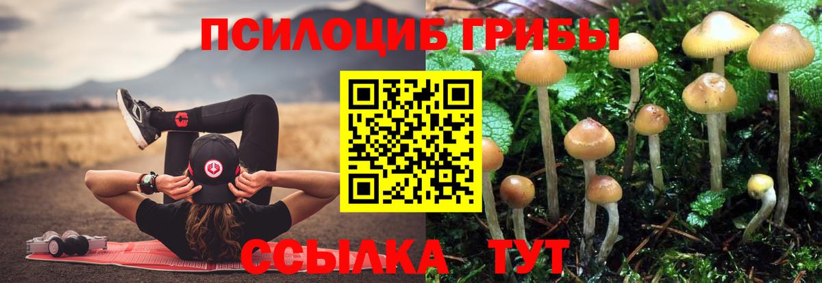 Псилоцибиновые грибы прущие грибы Долгопрудный